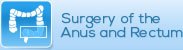 Surgery of the Anus and Rectum - central coast colorectal surgery