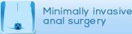 Minimally invasive anal surgery- central coast colorectal surgery